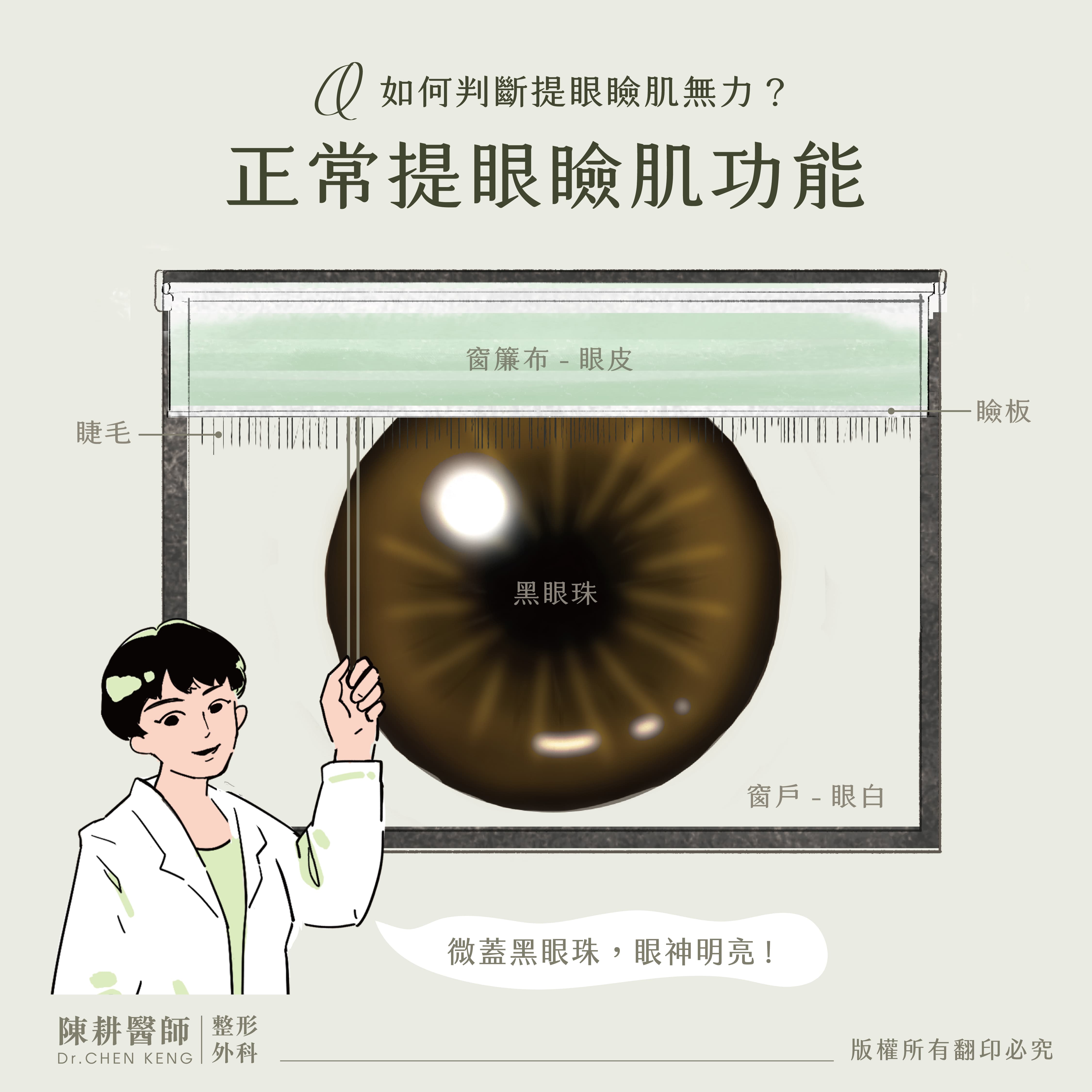 提眼瞼肌症狀
